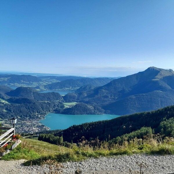 whatsapp_image_2025-09-21_at_18.00.43